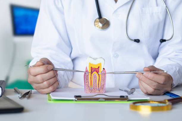 Best Urgent Tooth Repair  in Prestbury, IL